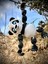 Panda Oyuncak Figür – Sarılmalık Şefkatin Devasa Hâli! 3d Hareketli Organik Vip Model- Büyük Boy 3