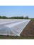 - Don Kırağı Örtüsü - Agril Don Örtüsü - 19 gr - Beyaz - 1 Metre x 40 Metre 1