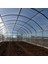 Sera Naylonu - 12 Aylık - 300 Mikron Sera Örtüsü - 2 Metre x 40 Metre 1