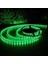 10 Çip Şerit LED Iç Mekan (Yeşil) CT-4483 5 mt 2