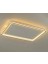 Gold 60X40CM Dikdörtgen 3000K Işık Rengi,kumandalı LED Tavan Lambası,avize,modern Aydınlatma, Dekoratif Işık 5
