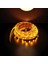 10 Çip Şerit LED Iç Mekan (Amber) CT-4485 5 mt 3