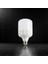65W Torch LED Ampul (E-27) (Beyaz) CT-4328B 2