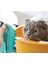 Şampuan Hazneli Kedi ve Köpek Evcil Hayvan Yıkama Fırçası Silikon Evcil Hayvan Banyo Lifi 1 Adet 2