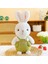 35CM Güneş Tavşanı Yatıştırıcı Bebek Bebek Uyur (Yurt Dışından) 3