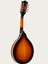 MDL350 Sunburst Parlak Cilalı Mandolin 1