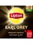 Earl Grey Bardak Poşet Çay 2gr 100lü 2