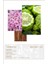 Before 132 Edp 50ML Erkek Parfüm 3