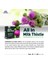 All In Milk Thistle | Devedikeni Esktresi + Enginar Ekstresi | 60 Tablet 7
