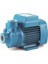 Pump Preferikal Pompa 0,50 Hp 220V 1