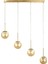 Miya 4 lü Yemek Masası Üstü Bal Camlı Modern Sarkıt Avize - (Gold Kaplama) 1