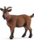 Schleich 13828 Ffa Ffa Cabra/goat, Rekli 1