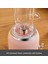 Retro Personal Kişisel Smoothie Blender Pink 4
