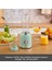 Retro Personal Kişisel Smoothie Blender Green 6