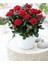 Thebestonline Canlı, Saksılı Dekoratif Kırmızı Bodur Gül (Salon Gülü)-Ofis,ev,içe Mekan 1