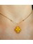 Kristal Taşlı Van Cleef Model Kolye, Altın Kaplama Çift Taraflı Yonca Modeli Kolye, Van Cleef Bijuteri Kolye, Van Cleef Altın Kaplama Kolye, Dört Yapraklı Şans Yonca Kolye 2