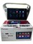 Pejo 301 Citroen C-Elyse (Gri) Pioneer 4-64 Tam Profesyonel Oem Multimedia 2
