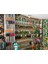 Tablalı Fıskiye Pirinç Springli AG-S029 Al-Fa Green 5