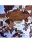 Ahşap Dünya Haritası Duvar Tablosu Ofis Dekor (Plus, Large - 190X95 Cm, Ahşap) MF512 4