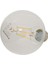 E27 LED Filament Lamba, Sarı Işık (2700K), 7W, 806 Lümen, G95 1