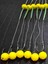 15 Takım(Sarı Pup) Renkler Sazan Yemleme (Tekne ve Botu)(Rig ve Boli) Yüzen Model 15 Adet 2