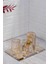 Şampanya Cam 4 Parça Banyo Seti 30X21 cm 3