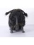 Yüksek Kaliteli Versiyonu Gruckel Köpek Peluş Bebek (Yurt Dışından) 2