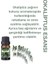 Okaliptus Esansiyel Uçucu Koku 10ML Difüzör Esansı Buhurdanlık Yağı ve Oda Kokusu 2