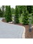 Orvia Modern Led’li Alüminyum Bahçe Aydınlatması | 75 cm Bollard Aydınlatma Direği 5