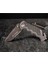Smith Wesson® Border Guard Liner Lock Tonto Katlanır Çakı SWBG10SCP 1