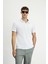 Polo Yaka Regular Fit Nakışlı Pamuklu Tişört 1