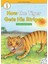How The Tiger Gets His Stripes +Hybrid Cd (Ecr Level 1) 1