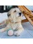 Örgü Kemik ve Top Pamuklu ve Doğa Dostu Köpek Oyuncağı Seti 6