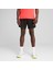 Run Velocıty 5" Short 2