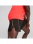 Run Velocıty 5" Short 3
