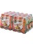 Mango ve Ananas Aromalı Maden Suyu 24'lü 1