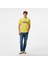 Erkek Sarı Regular Fit T-Shirt 3