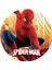 Spiderman Yuvarlak Pasta Yenilebilir Resim Baskı 20 cm 1