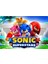 Sonic Dikdörtgen Pasta Yenilebilir Resim Baskı 28x19 cm 1