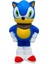 Sonic Sukuşi 1