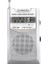 VS-R106 Analog Radyo Gri Renk 1