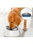 Puffy Paw Yeni Nesil Sıçratmayan Köpek Su Kabı - No Splash Dog Water Bowl 3