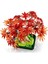 10348 LEGO Iconic Japon Akçaağaç Bonsai Ağacı 474 Parça +18 Yaş 4