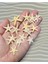 Star Fish - Gerçek Deniz Yıldızı - ( Ort. 25MM 10 Adet ) 1