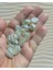 30 Adet Nassa Shell Sedefli Deniz Kabuğu - ( Sert Akrilik Plastik ) 1