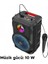 BS46 Büyük Boy Mikrofonlu Taşınabilir Şarjlı Hoparlör Bluetooth Speaker 4