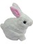Özel 40098 Tavşan Peluş Pilli- Fırsat!!! 4