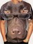 Roman ve Eğlenceli Gözlük Köpek Deseni 3D Baskı T-Shirt Erkekler/kadınlar Trend Kişilik Tişört Büyük Boy Kısa Kollu Sokak Giyim Teecolor: ETZ8G242117J/BOYUT: S (Yurt Dışından) 1