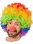 Rengarenk Gökkuşağı Afro Bonus Peruk ve Kırmızı Renk Sünger Burun 120 gr (5047) 1