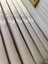 Nivemeshome Titus FJ632145 V-123 Krem 1/3 Sık Pileli Fon Perde Apm 5